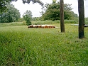 20100604 012